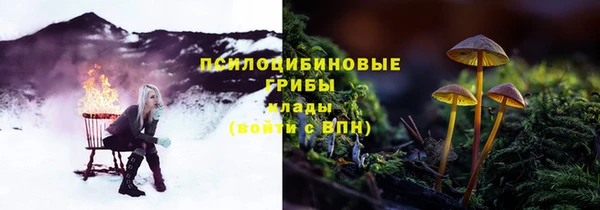 прущая мука Заводоуковск