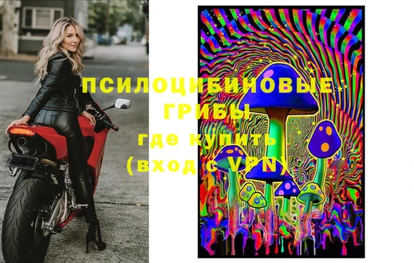 молекула духа Беломорск